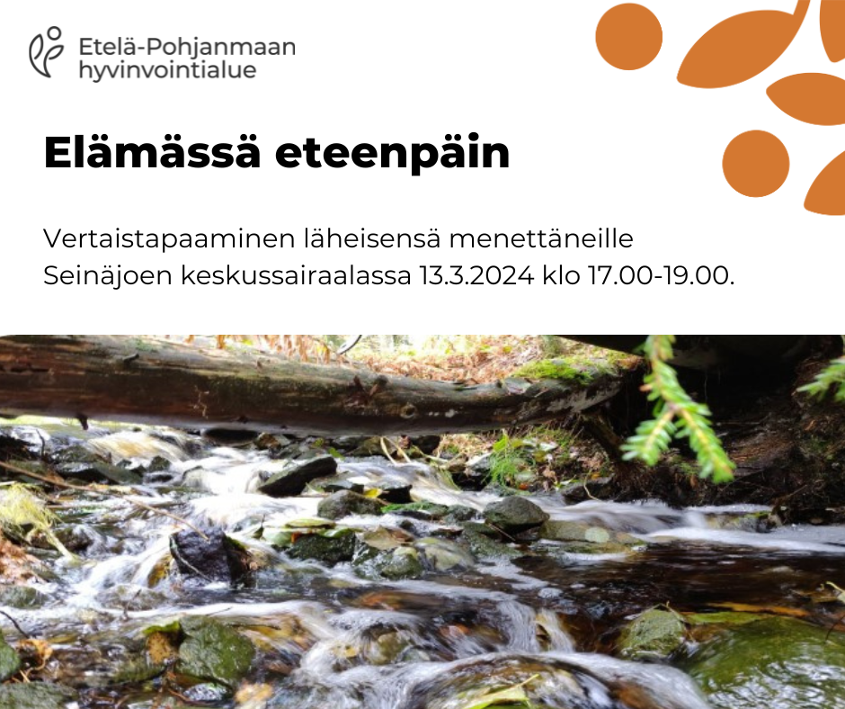Kopio Hyvaep pohja 2